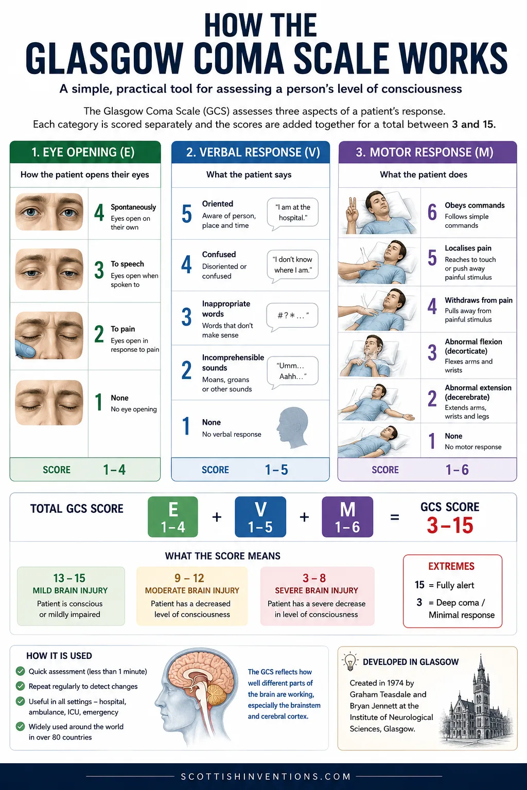 Detailed educational infographic explaining how the Glasgow Coma Scale works, including eye opening, verbal response and motor response categories with example illustrations and total score interpretation
