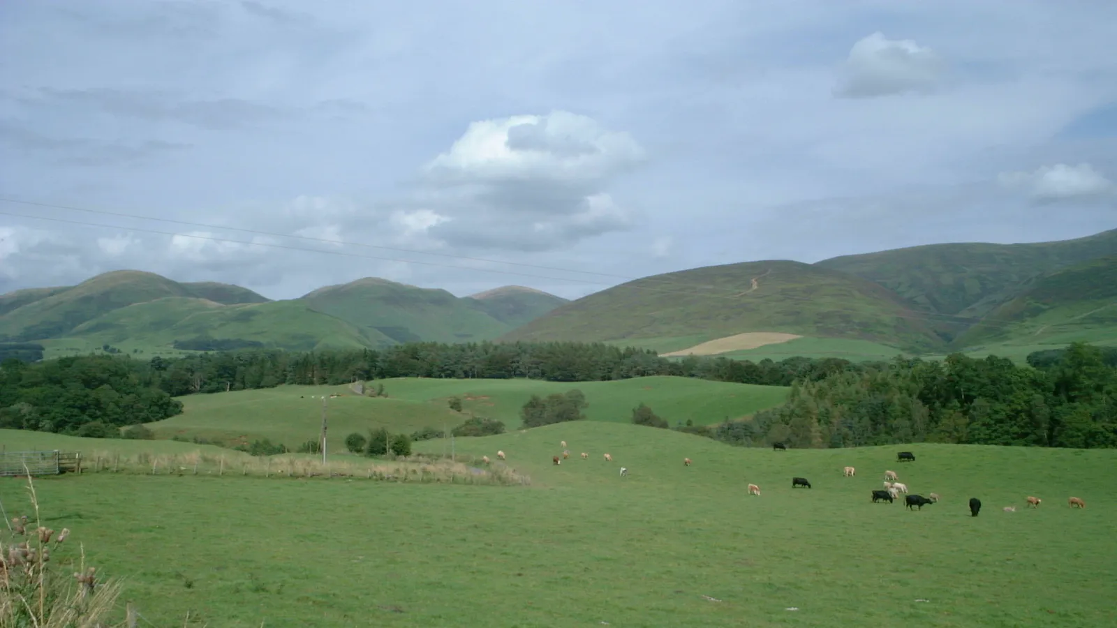 Galloway Forest & the Southern Uplands