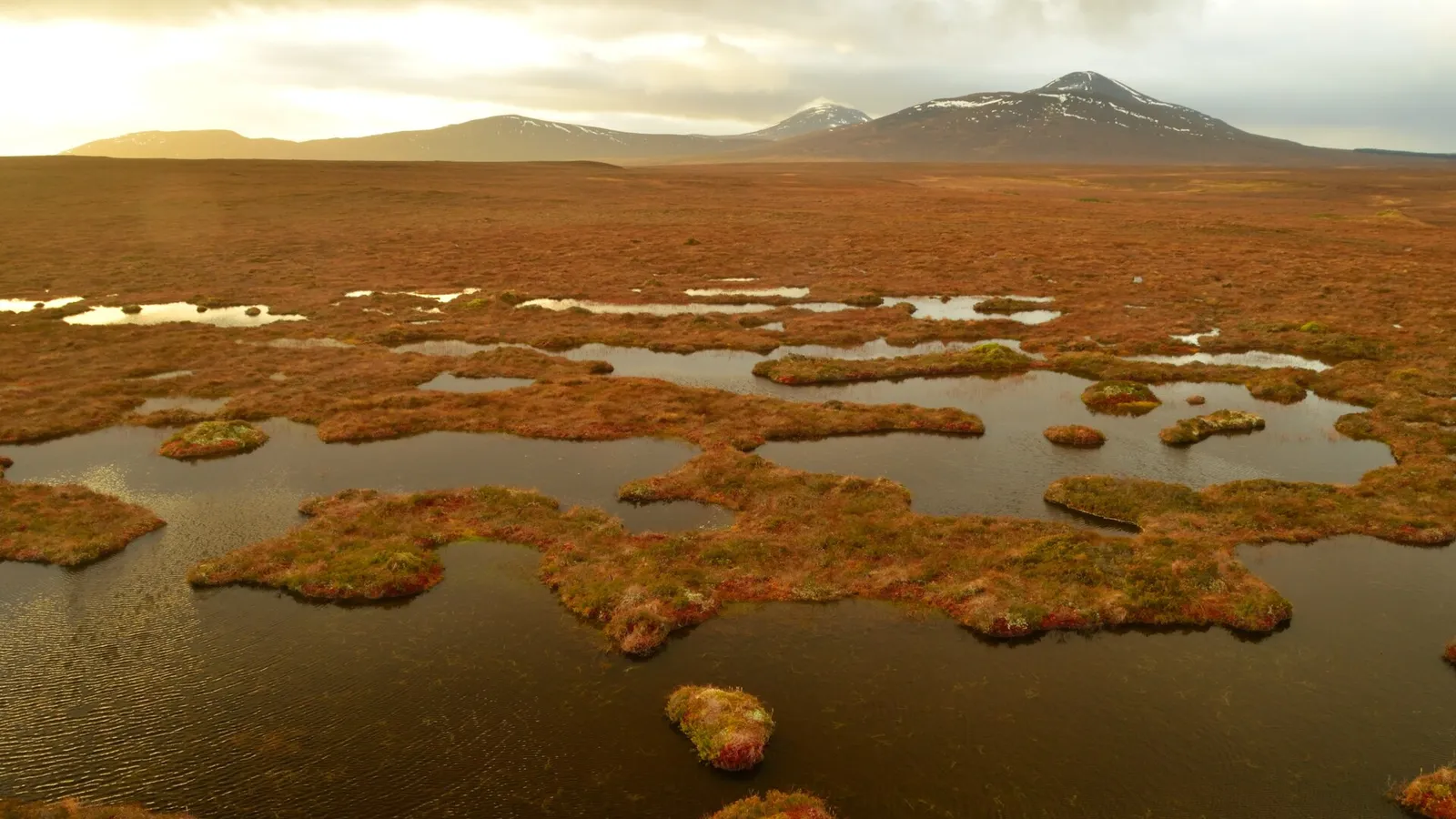 The Flow Country