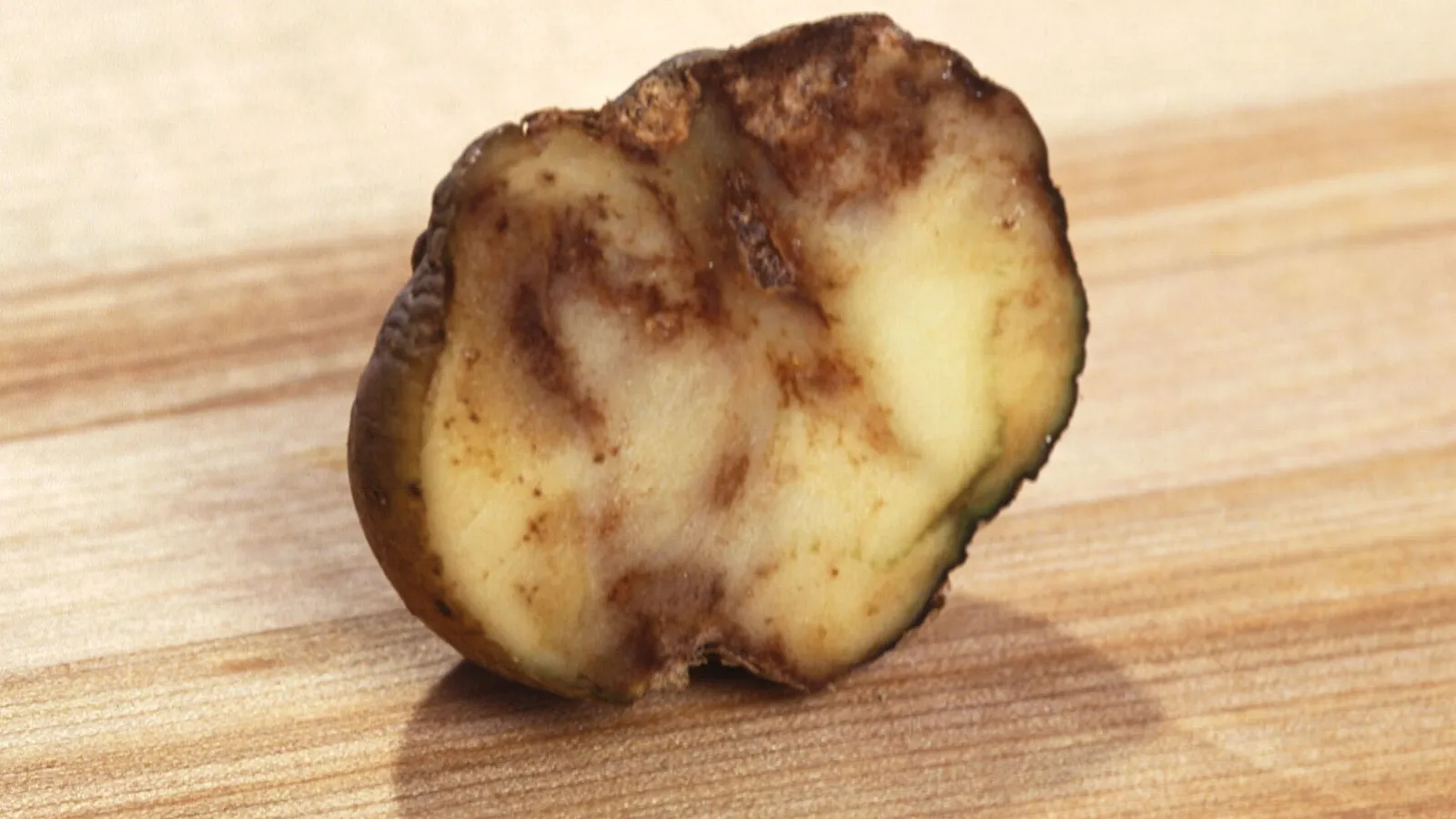 The Highland Potato Famine