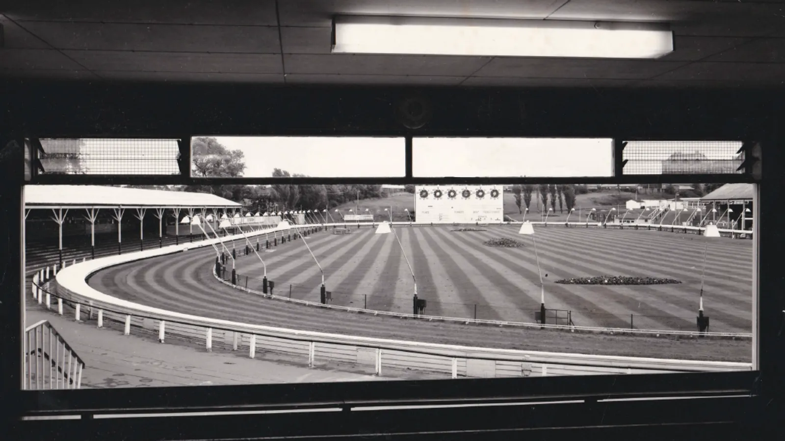 The New Year Sprint (Powderhall)