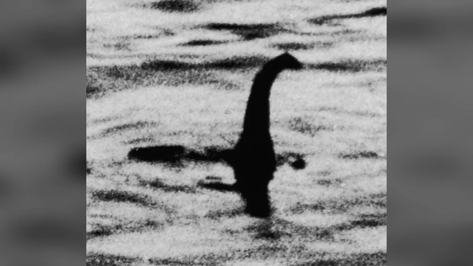 The Loch Ness Monster